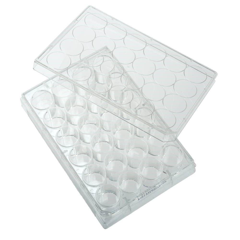 Multiple Well Plate with Lid, 24-well, Clear, Poly