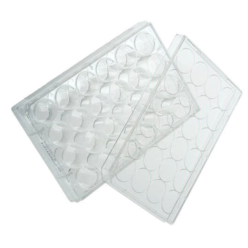 Multiple Well Plate with Lid, 24-well, Clear, Poly