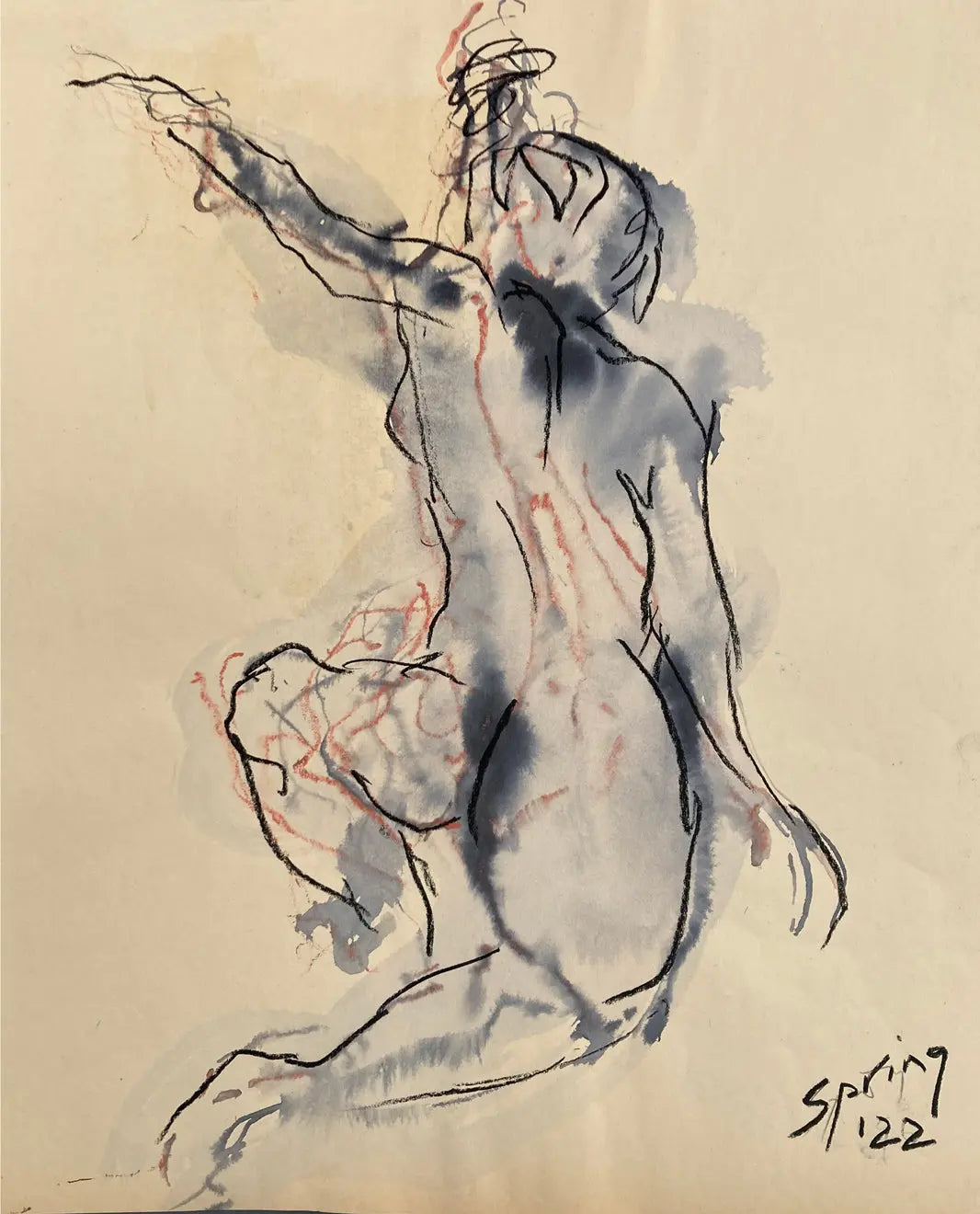 Harumi (spring beauty) - JG Contemporary  Chris Spring Original Drawing
