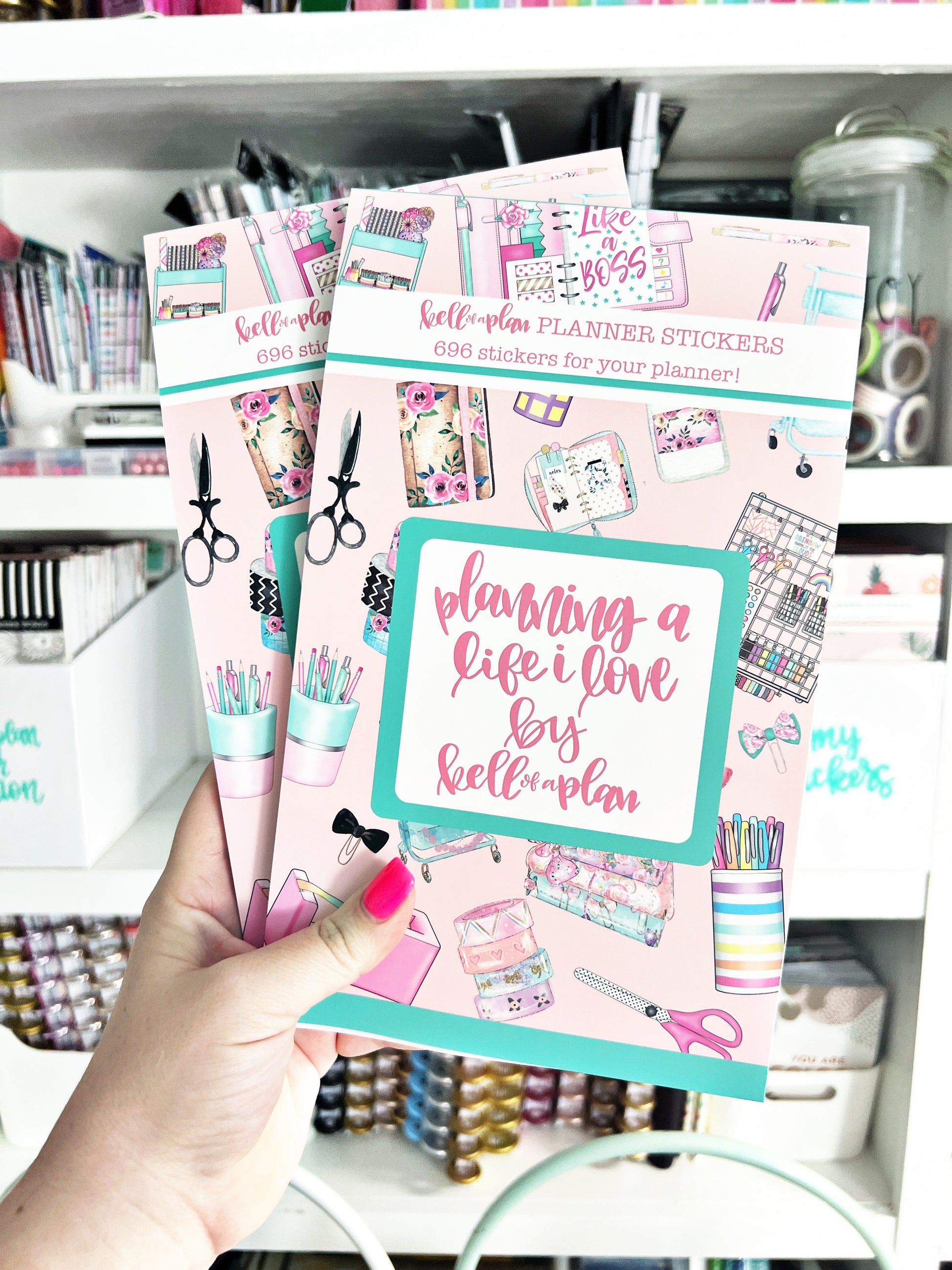 Planning a Life I Love Sticker Book