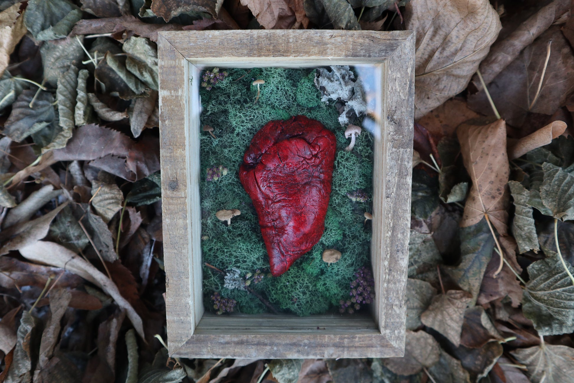 Bisected Whitetail Deer Heart Garden