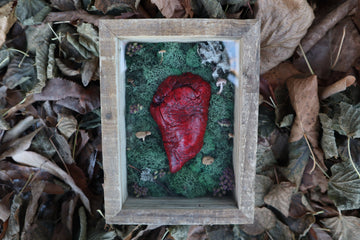 Bisected Whitetail Deer Heart Garden