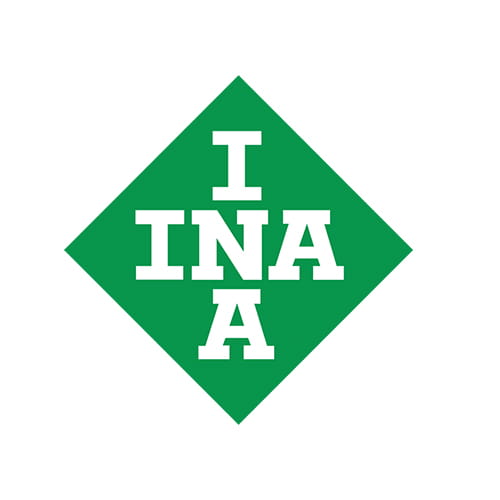 RNAO20X28X13-INA Needle Roller Bearing