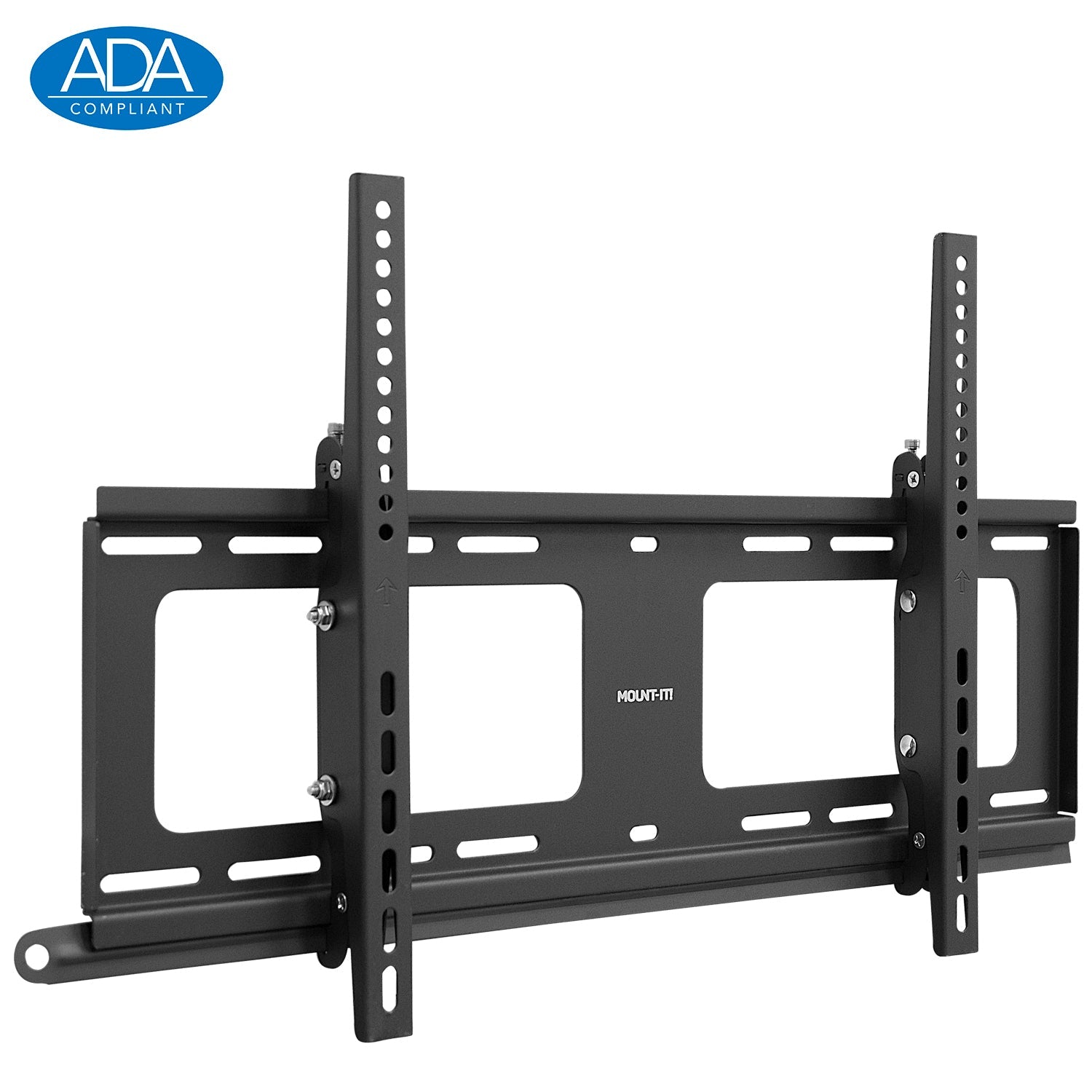 Weatherproof Outdoor Tilting Wall Mount ADA Compliant