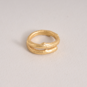 Anillo Palo Pino