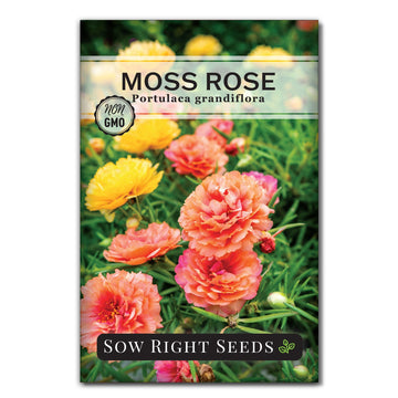 moss rose seed packet flowers sow right seeds