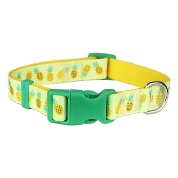 Parisian Pet Pineapples Collar