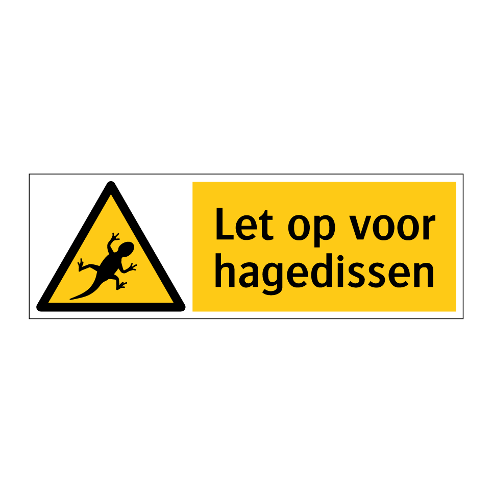 Let op voor hagedissen