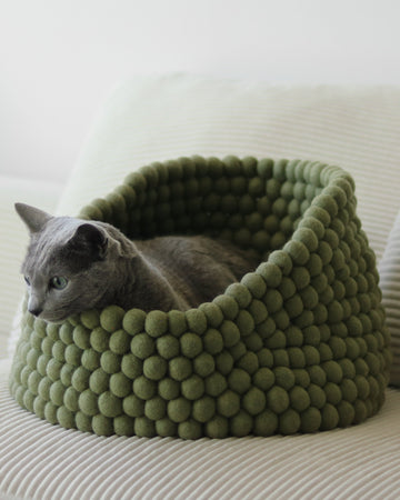 Cat lying in a green felt ball pet bed on a couch.