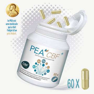 🌿 PEA - Complément Alimentaire à base de PEA ✨ - 60 Gélules