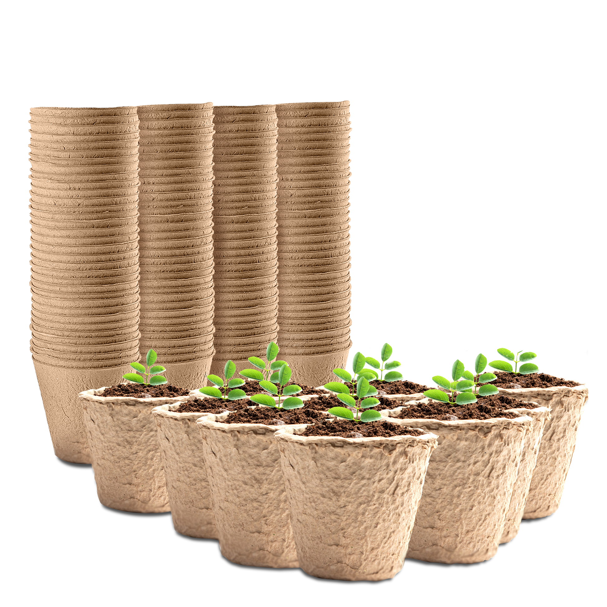 96-pack biodegradable fibre plant pots 5x6cm – eco seedling starter pots