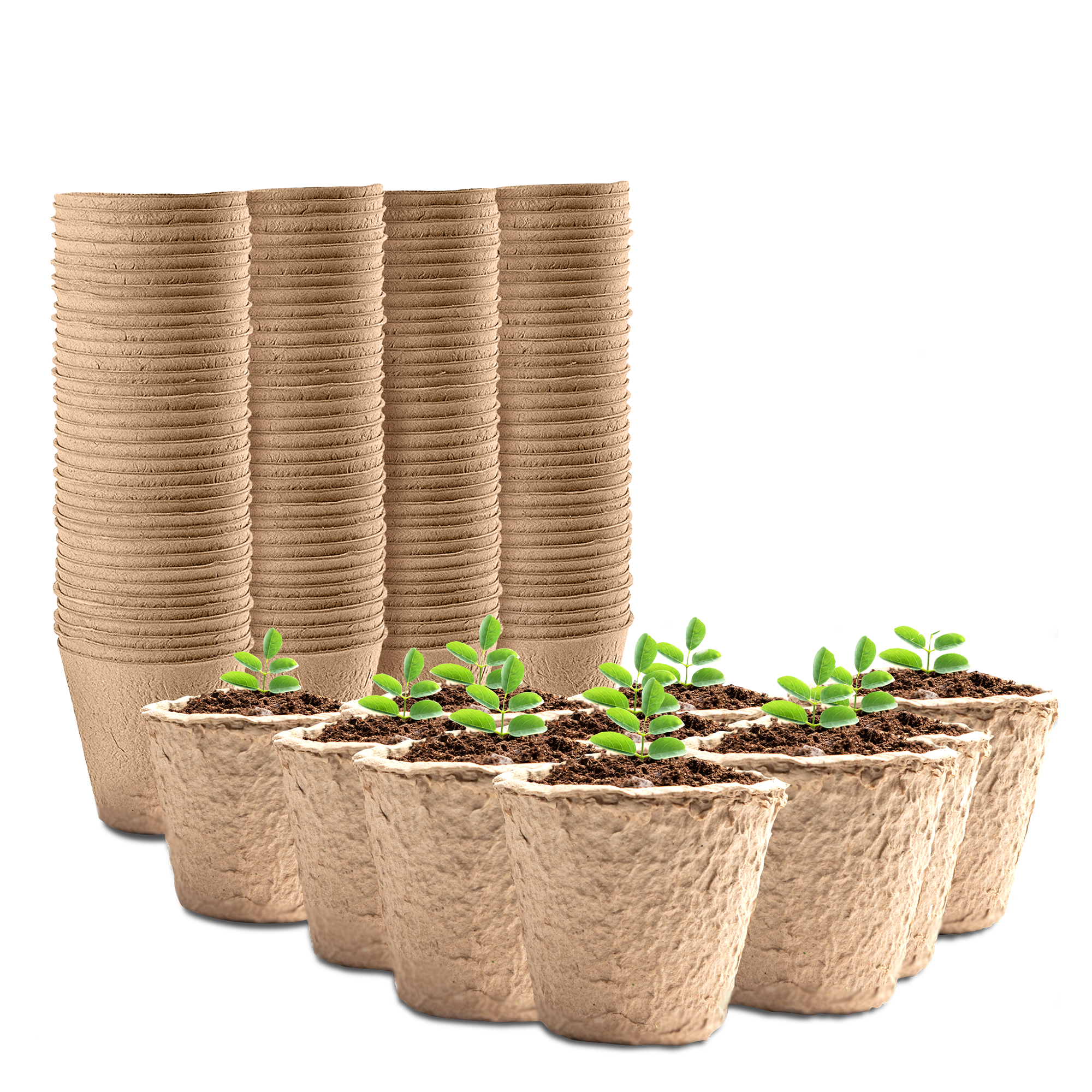 96-pack biodegradable fibre plant pots 5x6cm – eco seedling starter pots