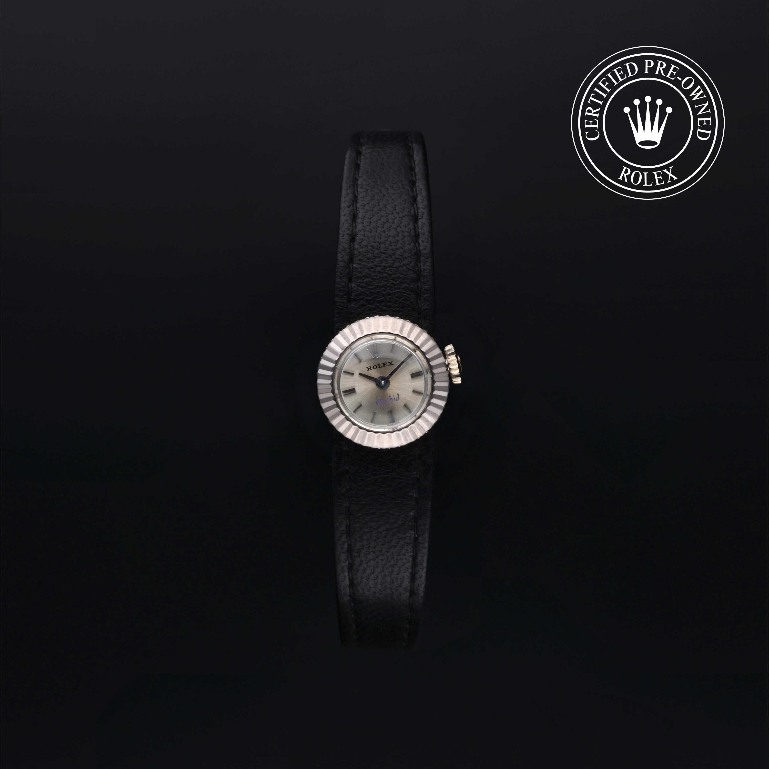 Vintage Orchid - 2059/9