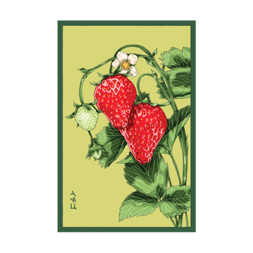 Basket Kisses Strawberry seed packet - Shido Seeds non-GMO vacuum-sealed woodblock design