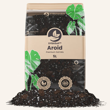 Aroid-Erde (Monstera usw.)