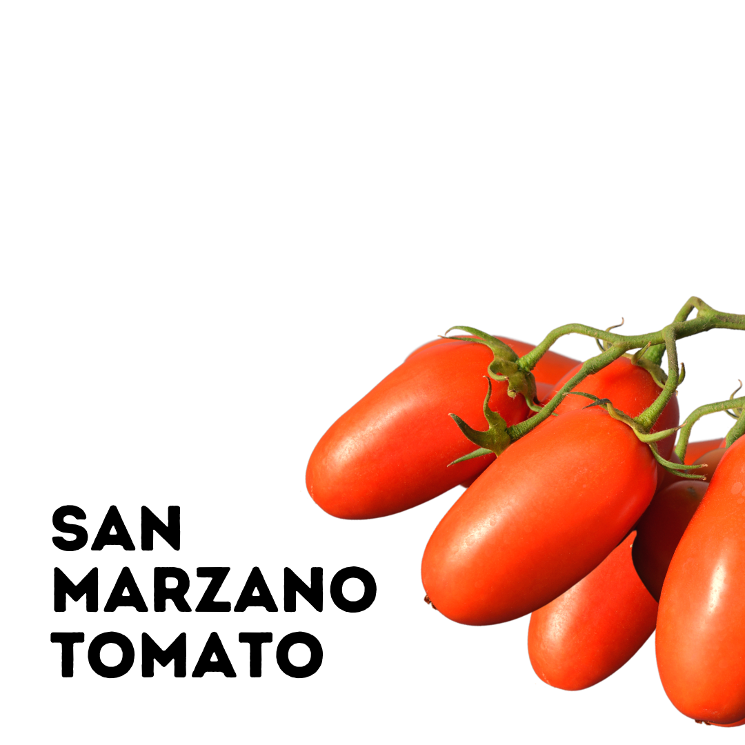 Pre-order sale on  our Organic San Marzano  Tomato (July ON FARM PICKUP | 25lb Bulk Case