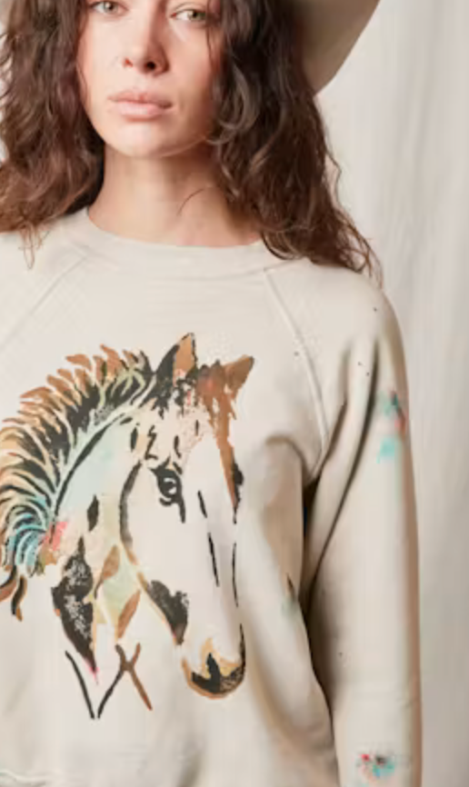 People of Leisure High Plains Stencil Sweatshirt