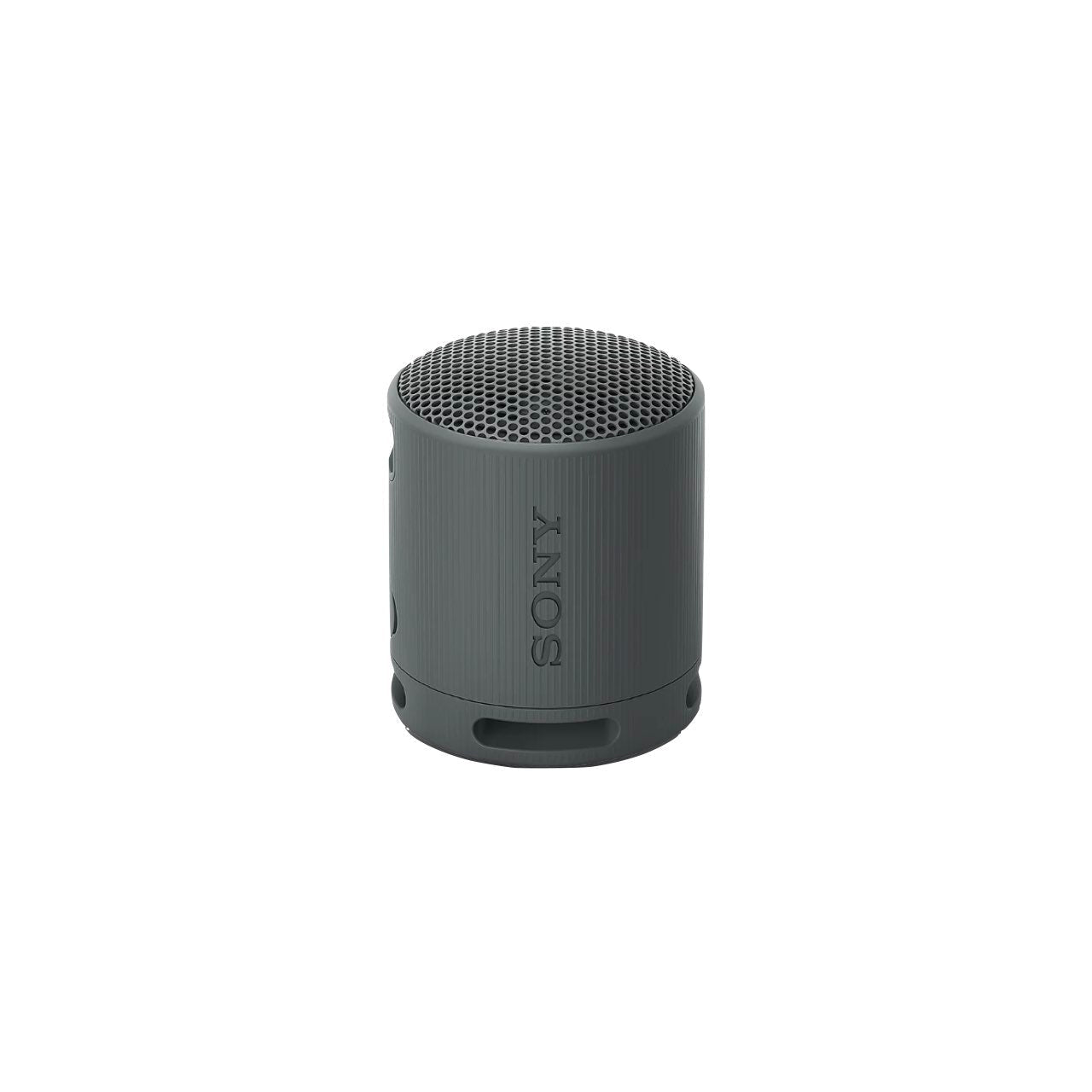 Sony XB100 Portable Wireless Speaker - Black (SRS-XB100/BCE)