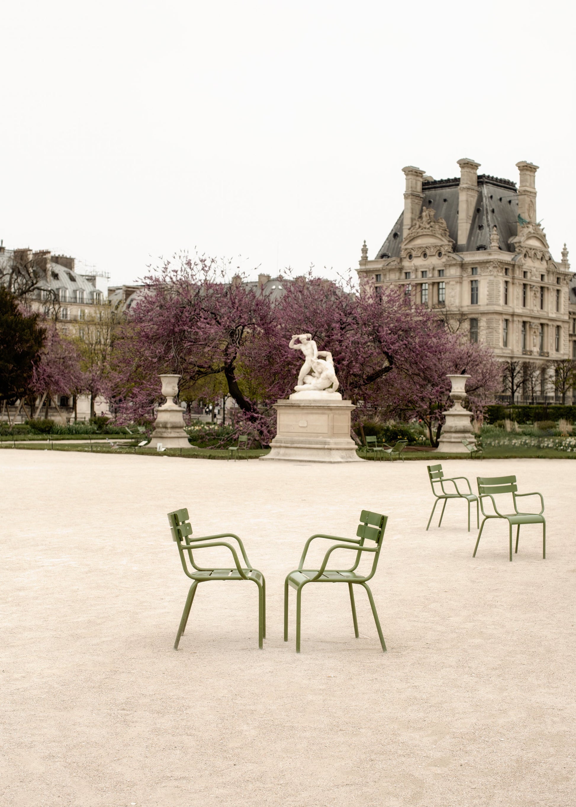 Image of a peaceful moment in Tuileries Gardens in Paris with purple Judas tree in bloom in the background