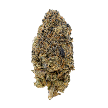 Gold Spectrum THCA Flower (Exotic) - Uncle Snoop