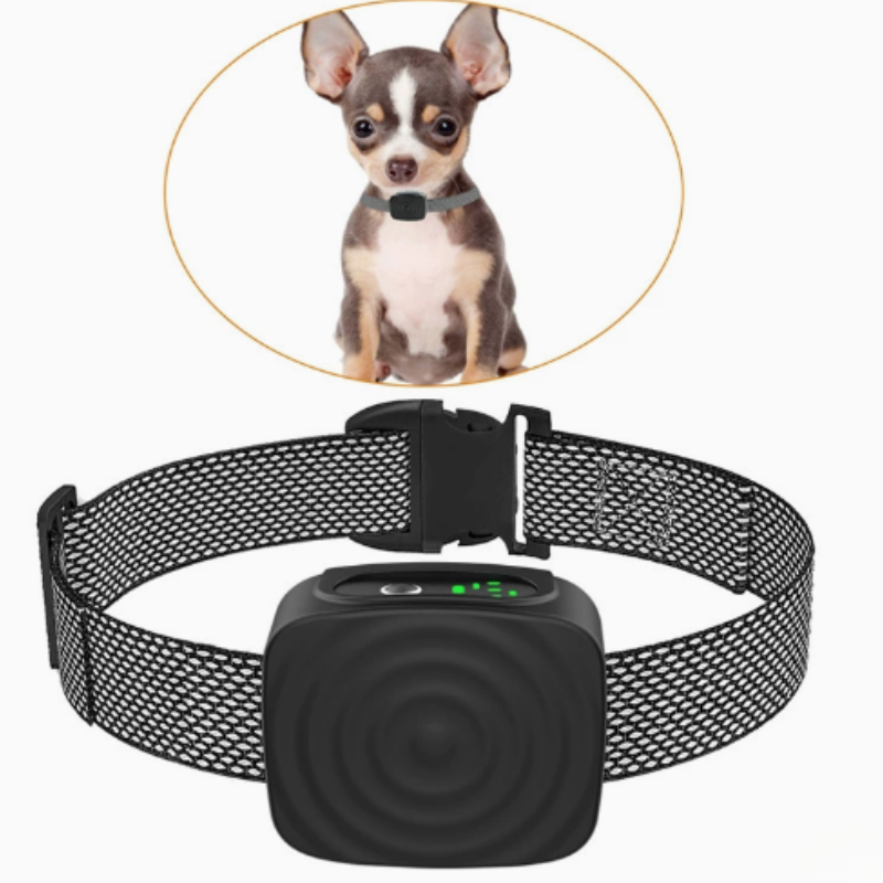 BARKCALM MINI – Zacht Antiblaffhalsband met Geluid & Trilling voor Kleine Honden