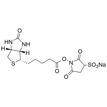 Sulfo-NHS-Biotin