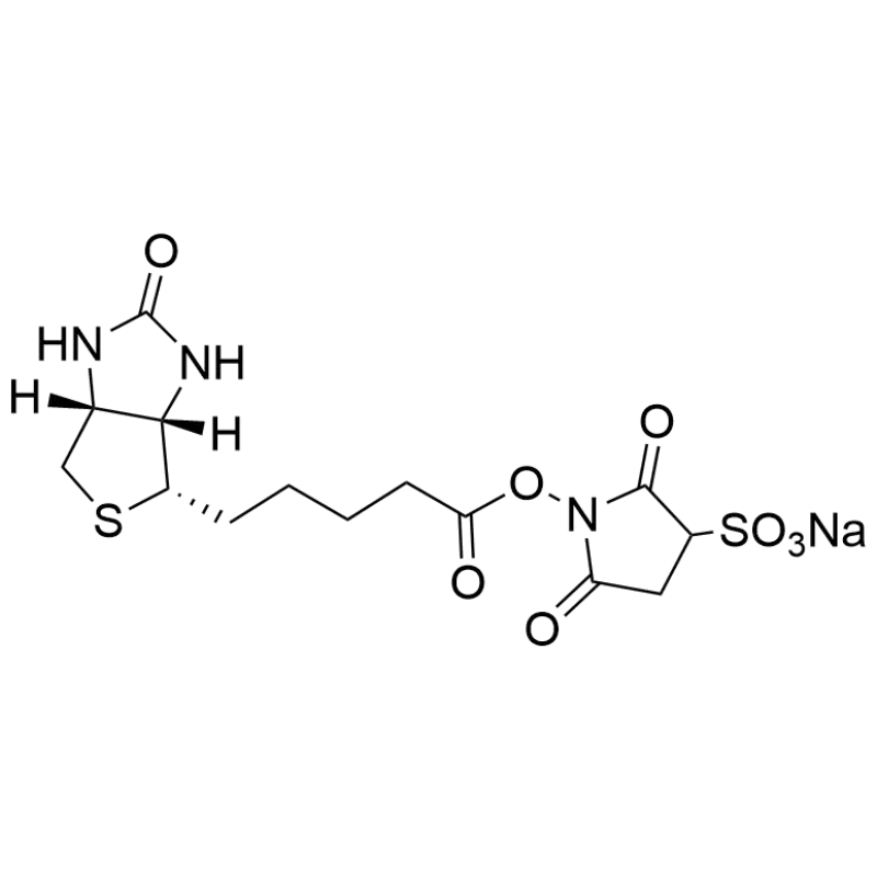 Sulfo-NHS-Biotin