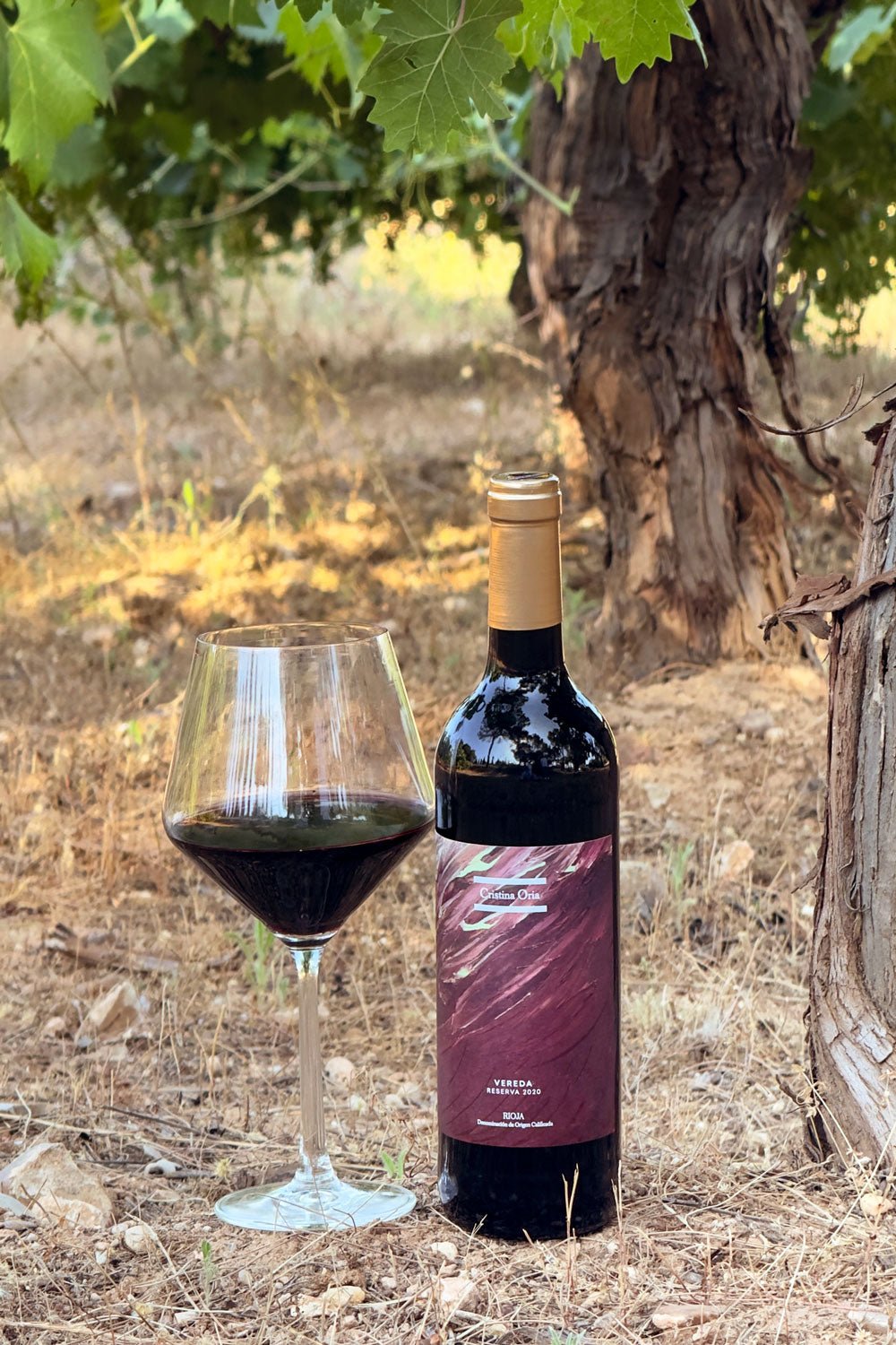 Detalle Campo Vino Tinto Vereda Reserva 2020 Cristina Oria