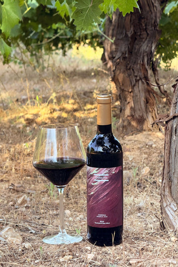 Detalle Campo Vino Tinto Vereda Reserva 2020 Cristina Oria