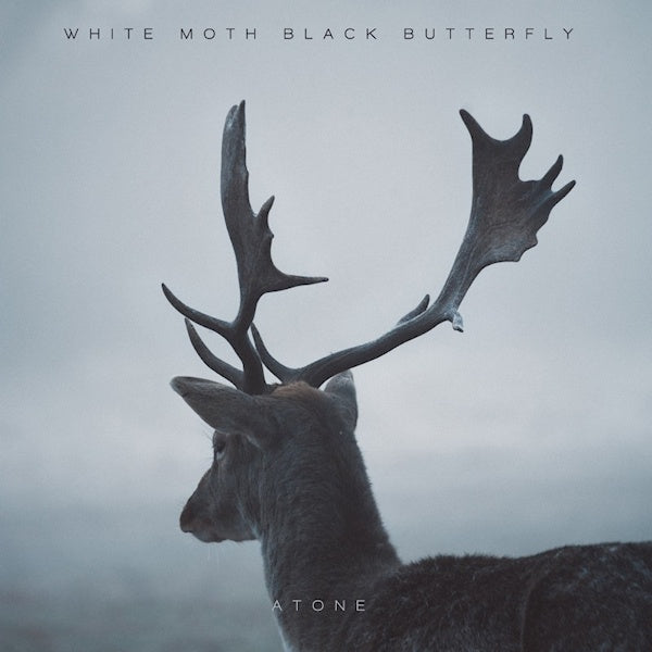 White Moth Black Butterfly - Atone (CD) - Velvet Music