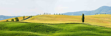 Wandverkleidung außen-Toskana Hügel Panorama Grün-Gelb