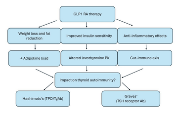 The Thyroid Twist: How GLP-1 Agonists Are Influencing Autoimmune Thyroid Care