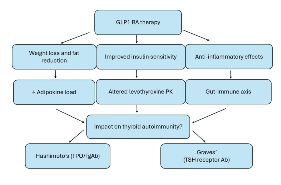 The Thyroid Twist: How GLP-1 Agonists Are Influencing Autoimmune Thyroid Care