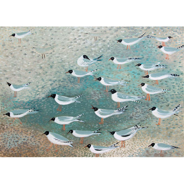 Hannah Hann - Black Headed Gulls