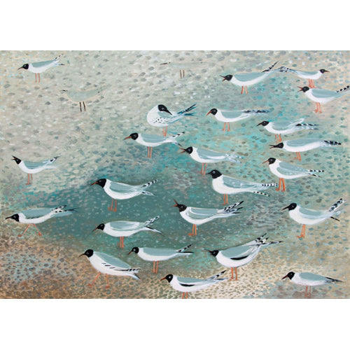 Hannah Hann - Black Headed Gulls