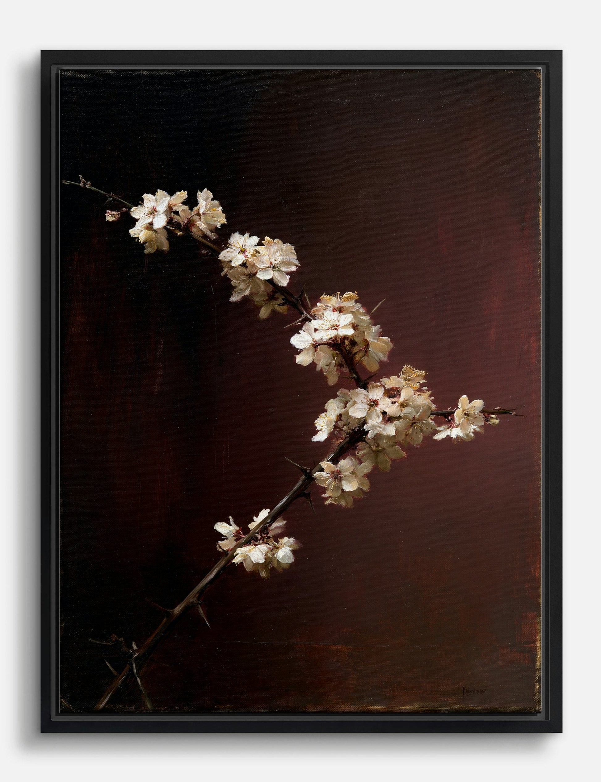 Blossom on a Dark Branch Canvas Print Black