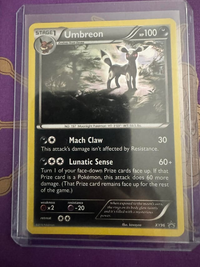Bought this old Umbreon : r/PokemonCardValue