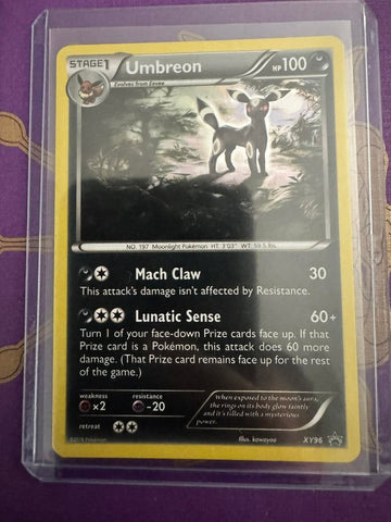 Bought this old Umbreon : r/PokemonCardValue