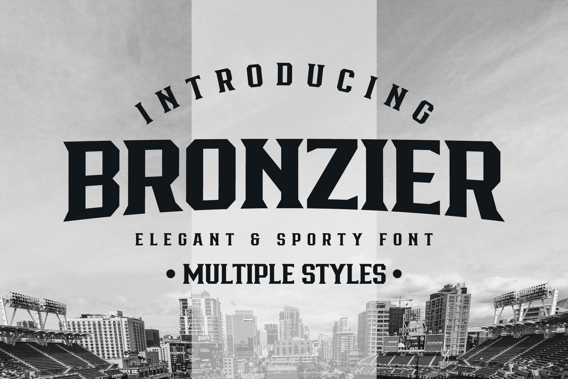 Bronzier Font Family Font Arterfak Project