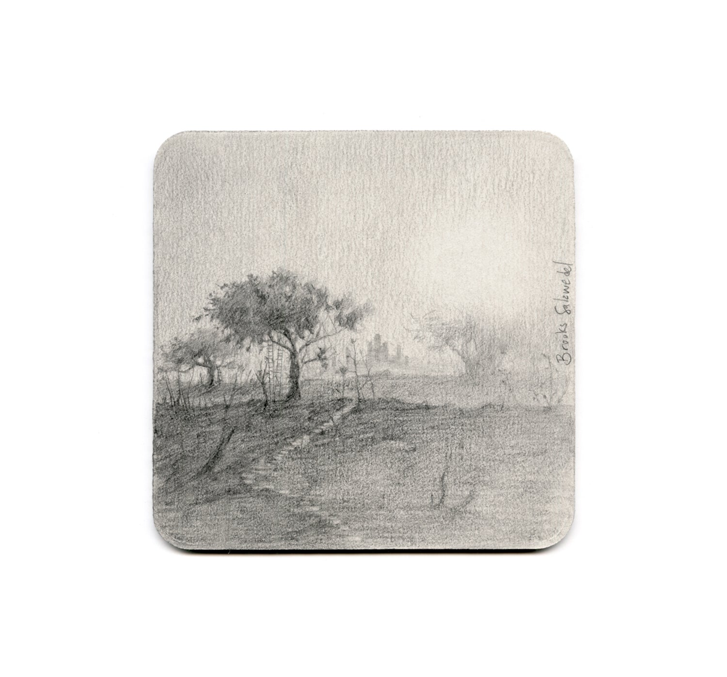 S2 Brooks Salzwedel - LA Landscape Coaster