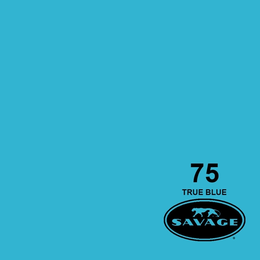 Savage Seamless Background Paper 86" x 36' Roll