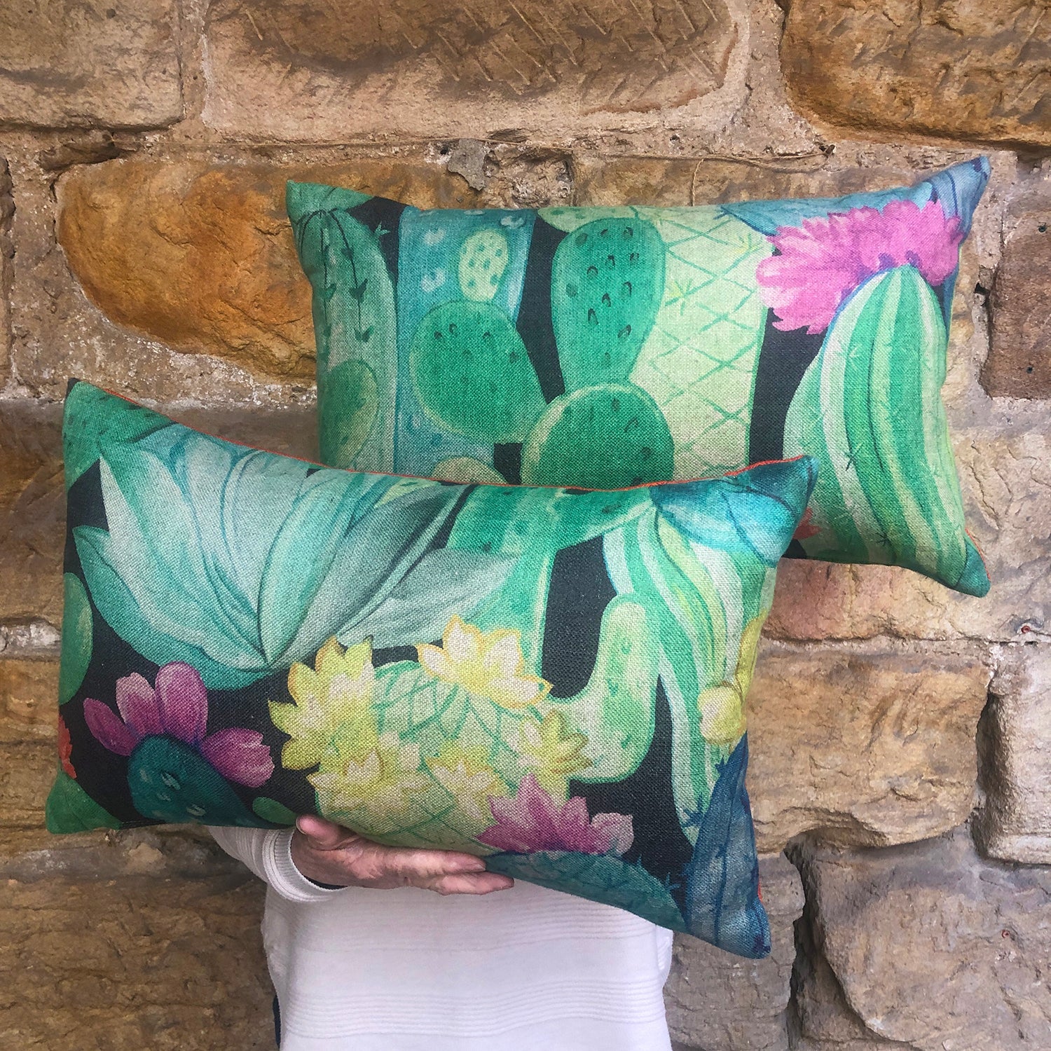 Cushions - Topawa Cactus