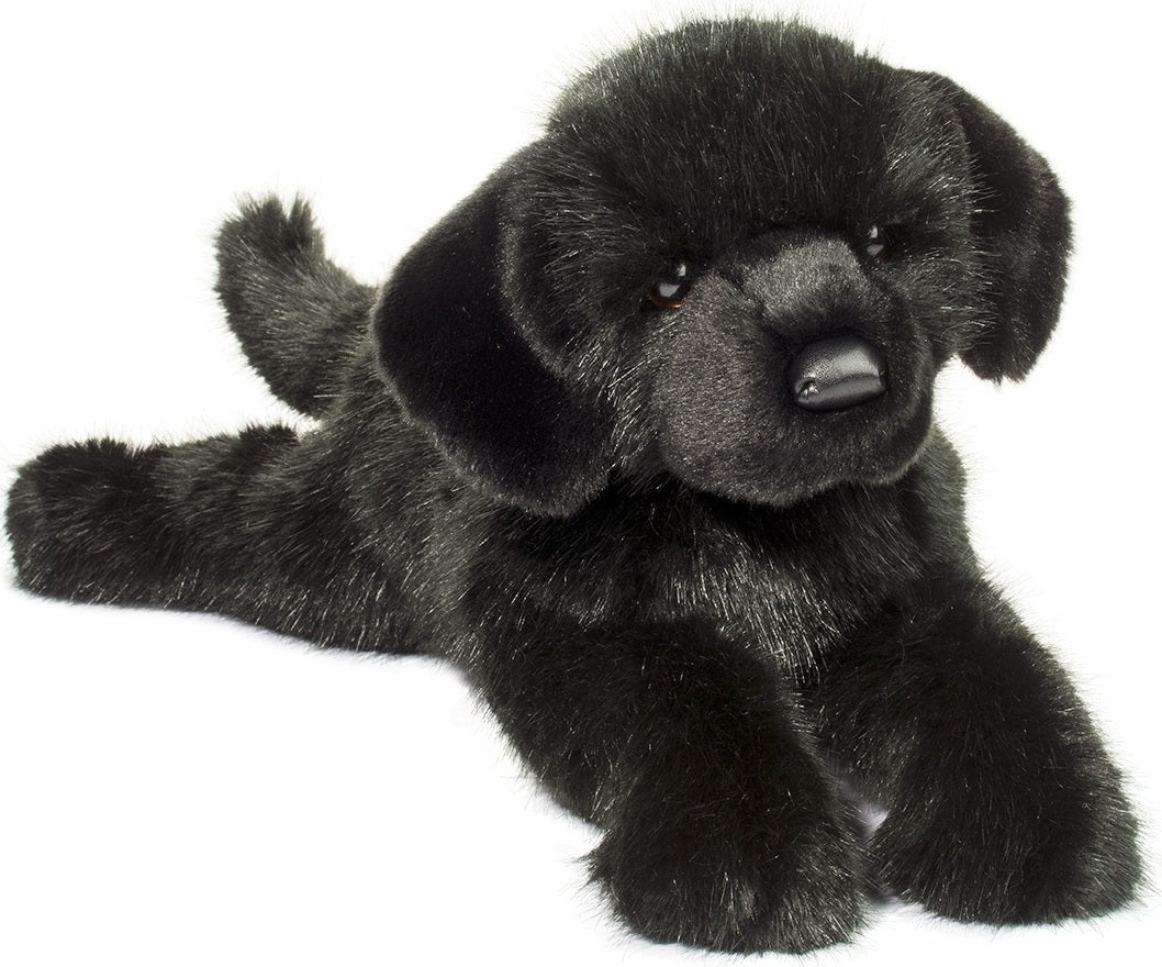 Jake DLux Black Lab