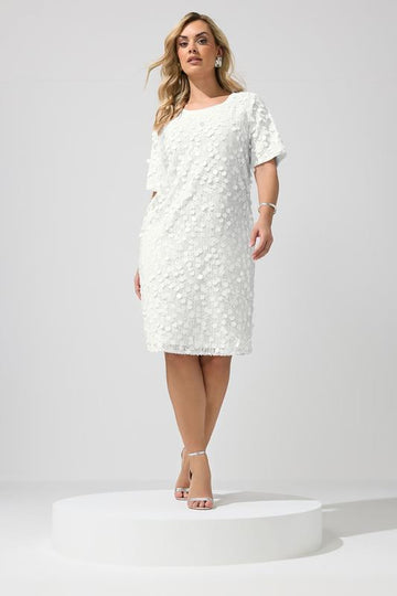 Plus Size Party Dresses