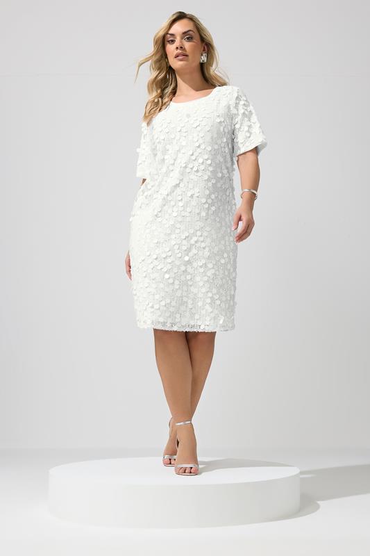 Plus Size Party Dresses