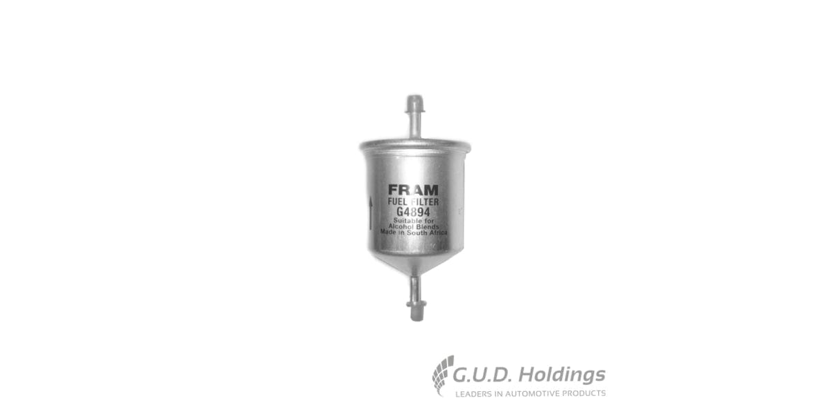 Fram Petrol Filter G4894 tools at Modern Auto Parts!