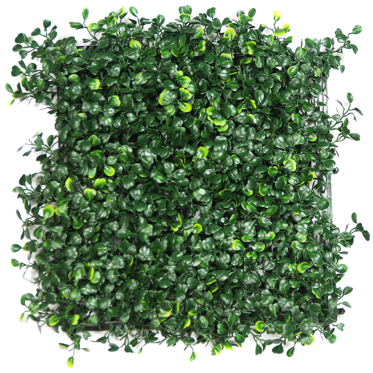 Boxwood Milan Artificial Hedge