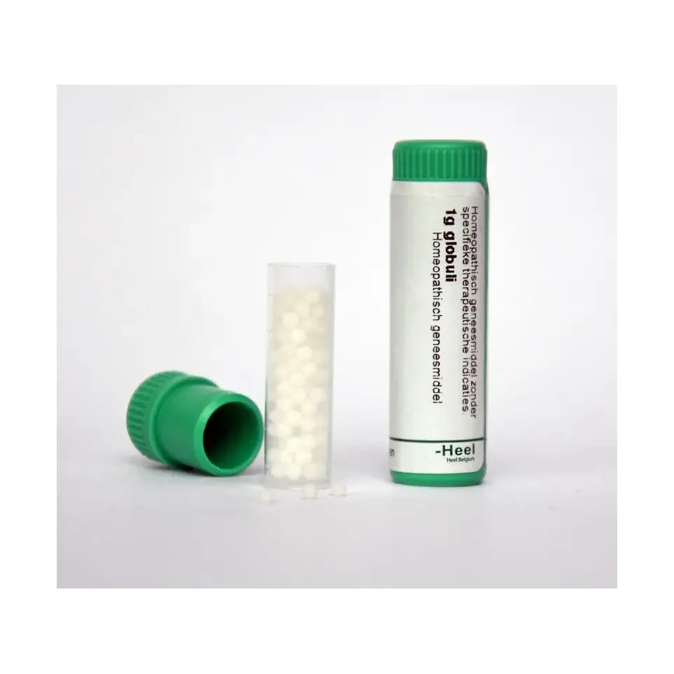Homeoden Heel Ignatia amara 40MK 1 gram globuli