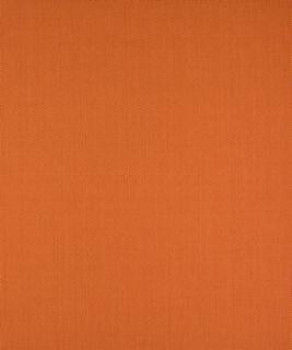 Loyal Tangerine M9446 by Barrow Industries Designer Fabric Chair Pattern/14C04 65% COTTON
35% POLYESTER Asia 50,000 DOUBLE RUBS Horizontal: - and Vertical: - 56" - Swanky Fabrics -