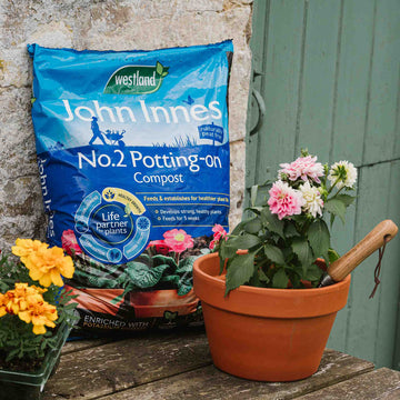 John Innes Peat Free No.2 Potting On Compost 28L